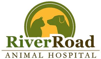 river road animal hospital wa|river road animal hospital niskayuna.